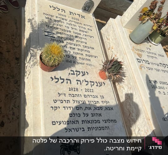 שני מצבות עם כיתוב בעברית וצמחים קטנים